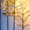Noah Tree 1,5m